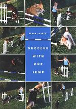 Success With One Jump DVD